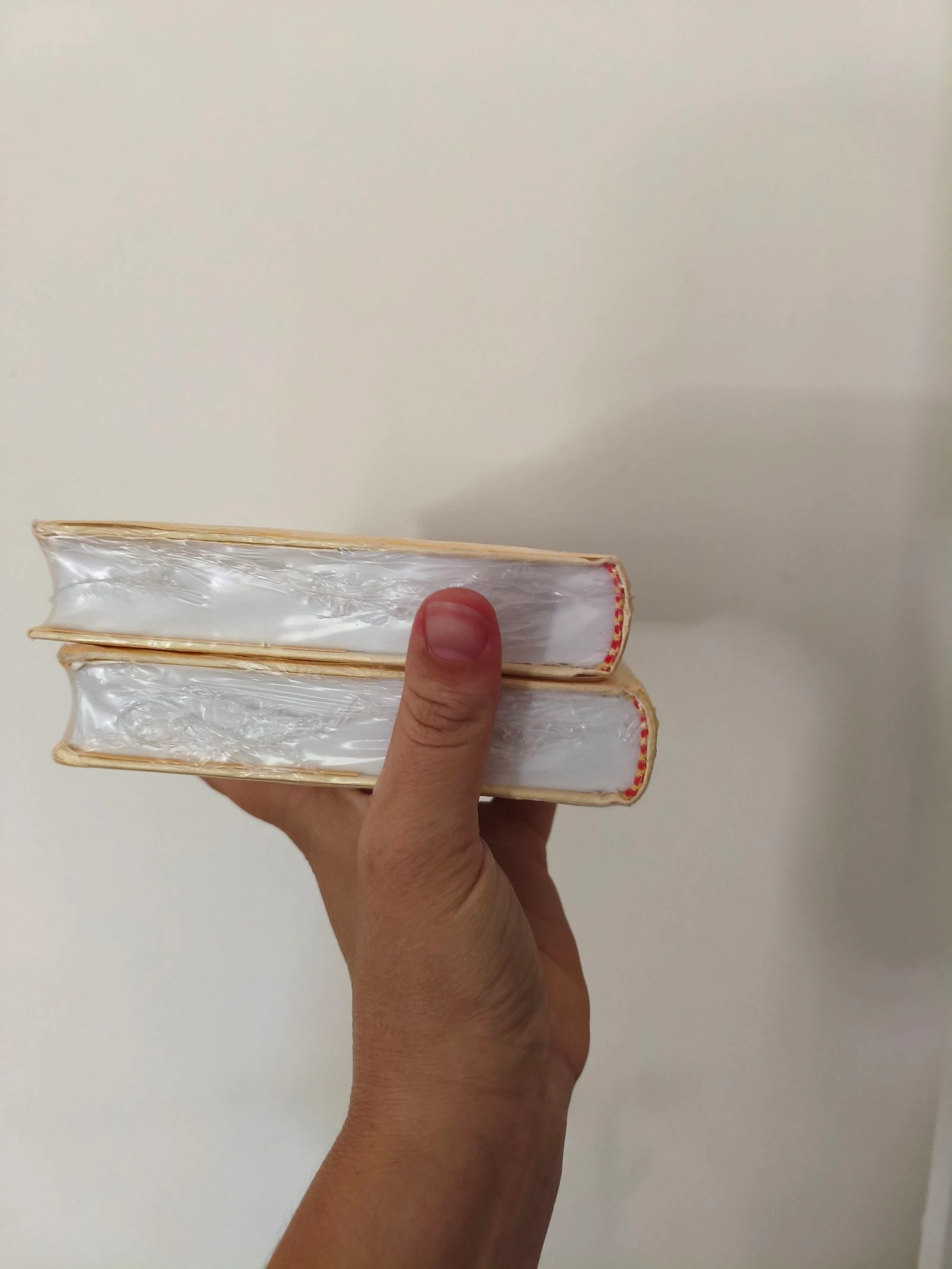 Lote de 2 libros PT – photo 2